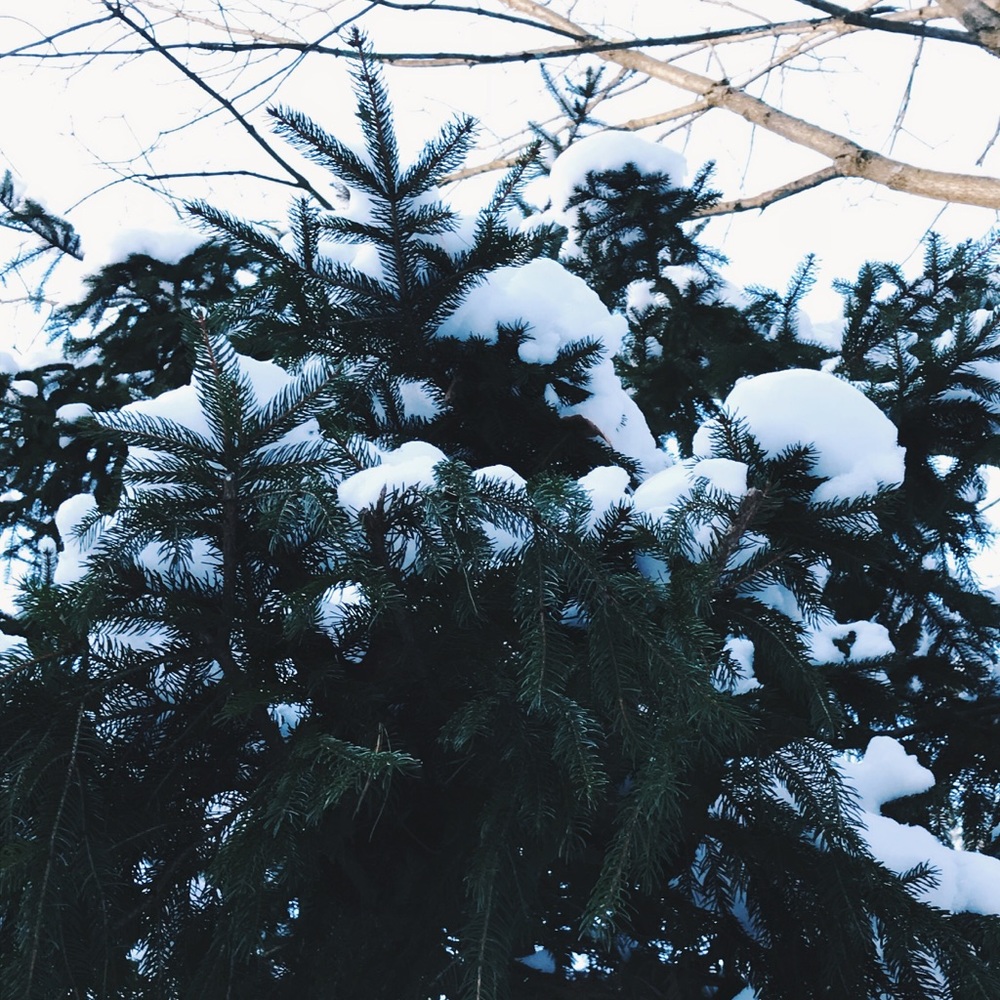 Meet your Posher, Maddy